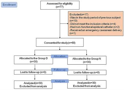 Circadian Variation in the Median Effective Dose of Epidural Ropivacaine for Labor Analgesia